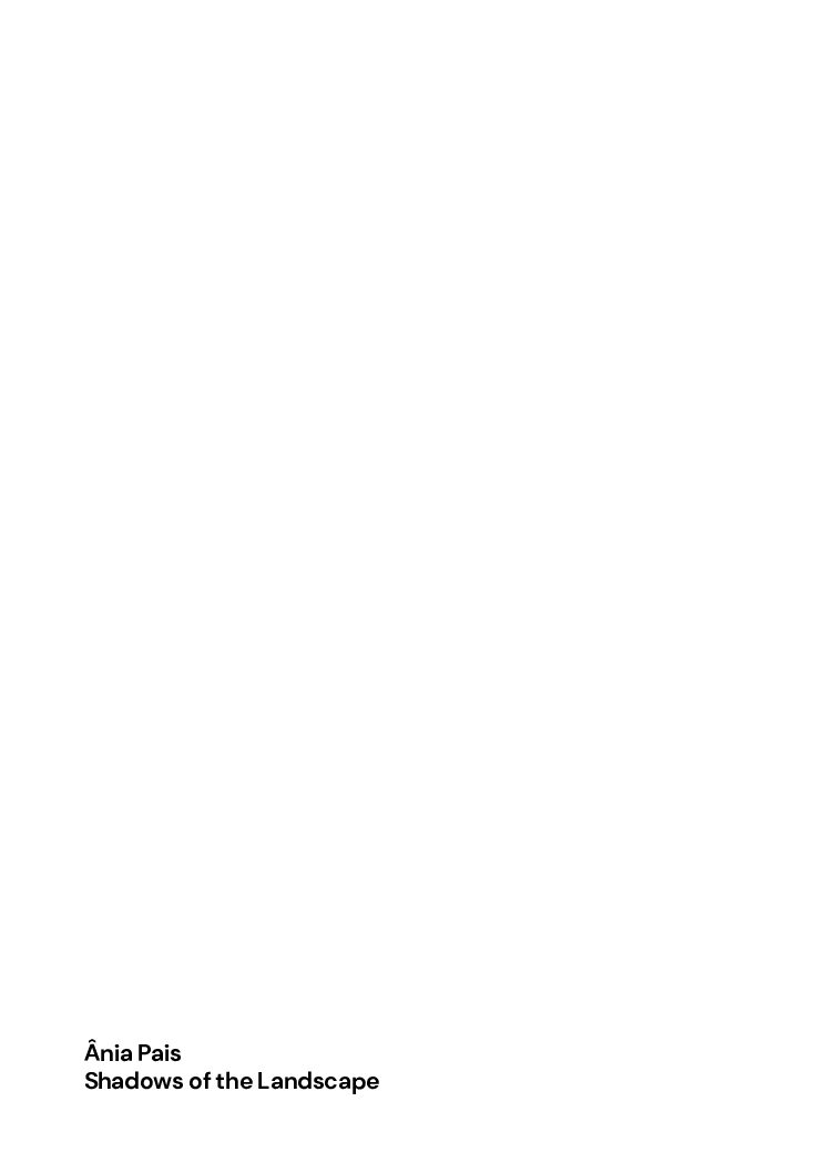 A5 – Shadows of the Landscape Web